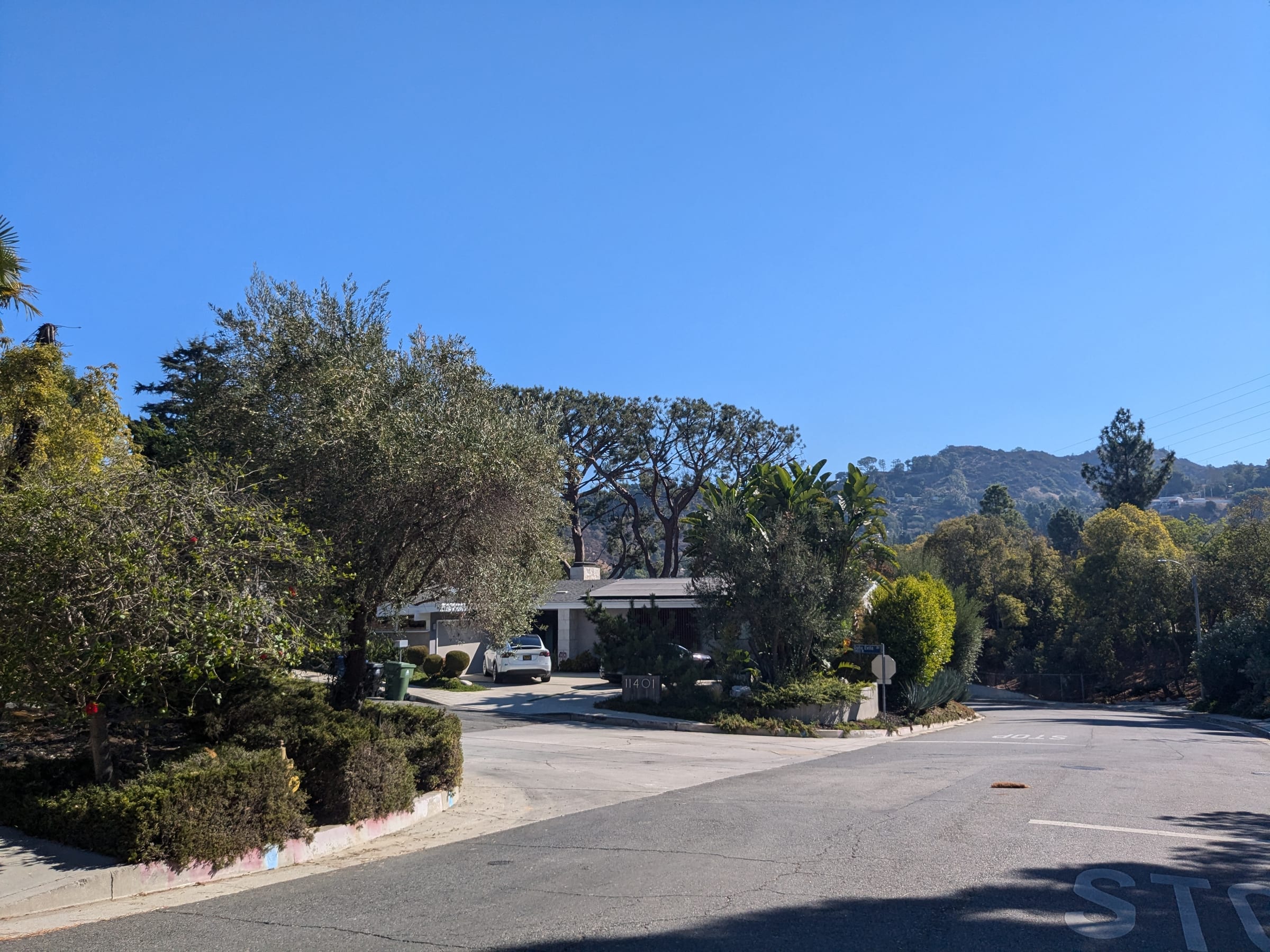 Laurelwood mountain views with lush greenery, showcasing the charm of Studio City